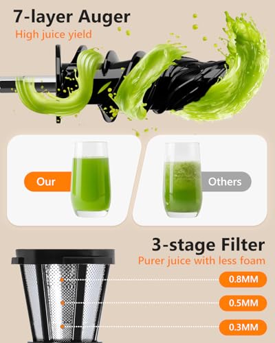 Cold Press Masticating Juicer 250W Slow Extractor for Whole Celery & Carort (Sliver)