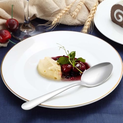 24 Piece Dinner Spoons Set (24p Dinner Spoons)