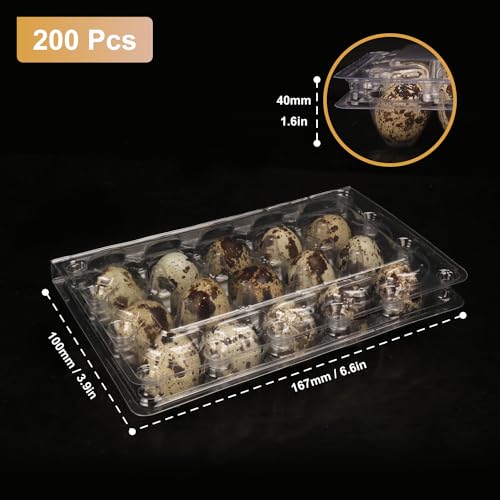 200 Pack Quail Egg Cartons (15 Grids)