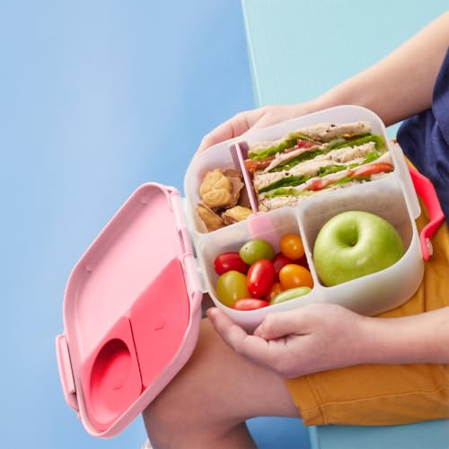 Mini Lunch Box (Flamingo Fizz / 1-pack)