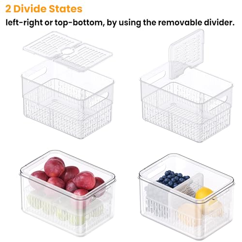 6 Pack Large Fruit Storage Containers for Fridge with Timing Knob (S+M+L-6 Pack)