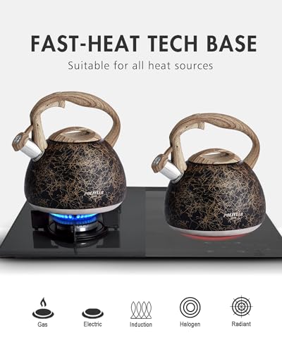 POLIVIAR Tea Kettle (2.7 Quarts / Black/Gold)