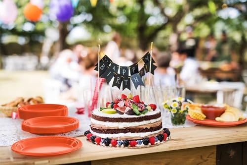 Sturdy Orange Plastic Plates 10" Party Plates 100 Pcs (10 inch / Orange)