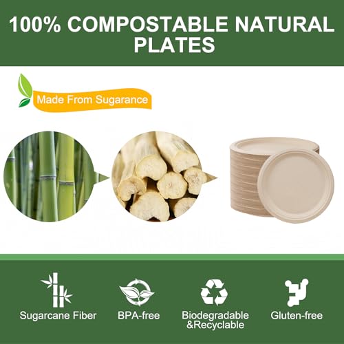 Paper Plates 10 Inch 125 (Natural / 10Inch（125 PCS）)