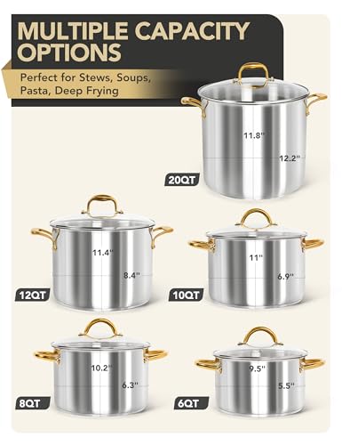 Stainless Steel Stock Pot with Lid (12 Quarts)