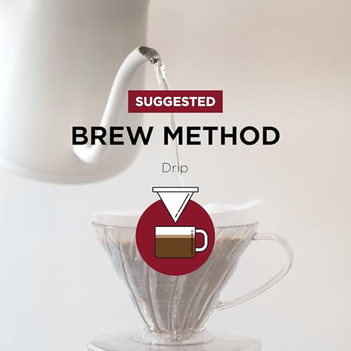 Fonte Coffee Roaster