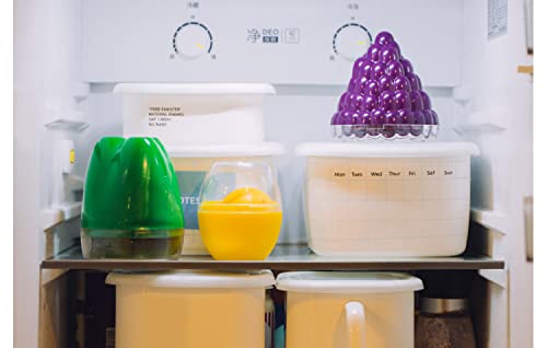 Green Pepper Storage Containers