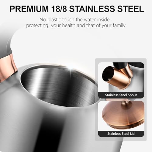 Tea Kettle 3.17QT Stainless Steel Whistling Tea Pot (Silver)