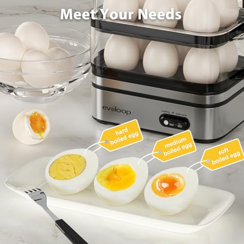 Rapid Egg Cooker Electric 12 Eggs Capacity (Silver)