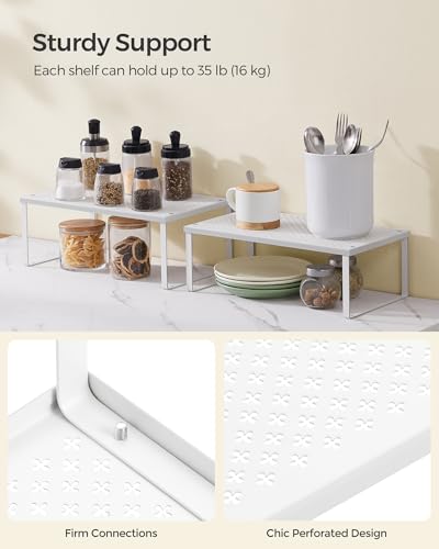 Set of 2 Metal Spice Racks (White / 2 Tiers (9"D x 15.7"W))