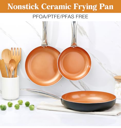 10in Copper Nonstick Frying Pans with Lids and Titanium Ceramic Interior (Copper-Silver / 10 Inch)