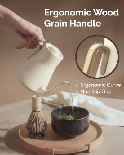Gooseneck Electric Kettle (Morandi White)