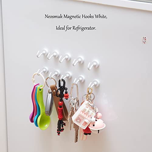 Magnetic Hooks (12 Count)