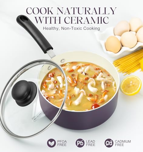 Nonstick Sauce Pan with Lid (3 Count)