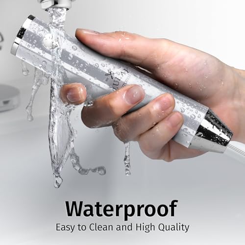 Rechargeable Milk Frother Handheld (Lux Premium Silver / Rechargeable Z1 Motor Max)