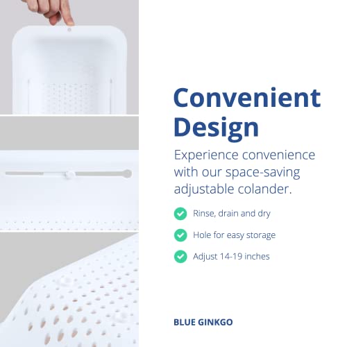 Over Sink Colander