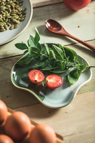 Ceramic Spoon Rest for Stove Top