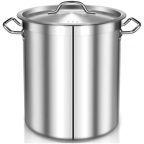 Large Stock Pot with Lid (40 Quarts)