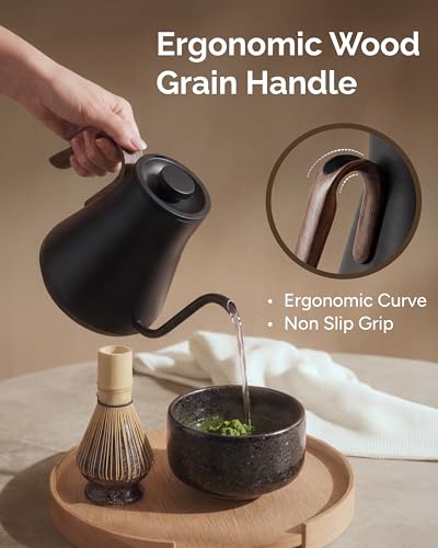 Gooseneck Electric Kettle (Glossy Black)