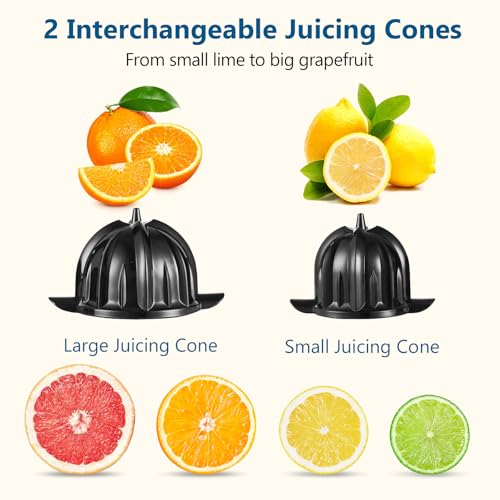 Citrus Juicer