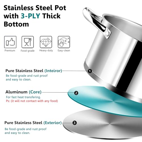 6 Quarts Stock Pot with Lid (6 Quarts)