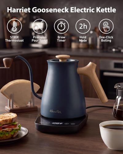 Gooseneck Electric Kettle (Blue / 0.8 Quarts)