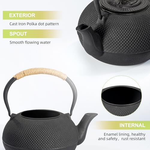 Japanese Tetsubin Cast Iron Teapot Tea Kettle pot with Stainless Steel Infuser for Stovetop Safe Coated with Enameled Interior 30 oz (30 oz / 900 ml)