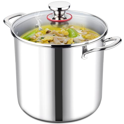 12 QT Stock Pot with Lid (12 Quarts)