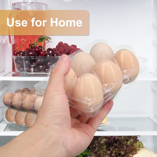 150 Pack Half Dozen Egg Cartons Bulk (6 Grids)