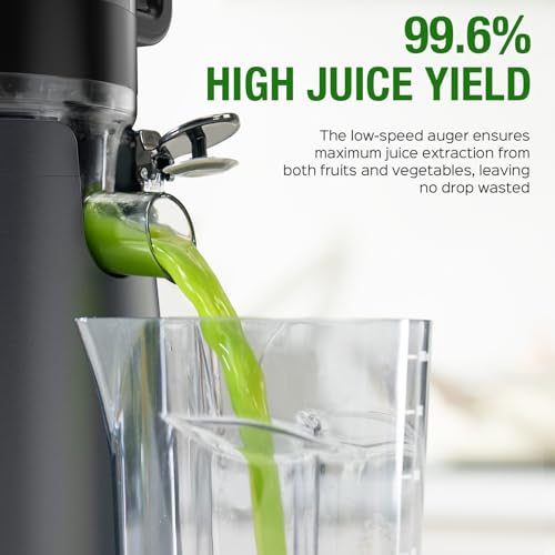 Cold Press Juicer Machine (Grey)