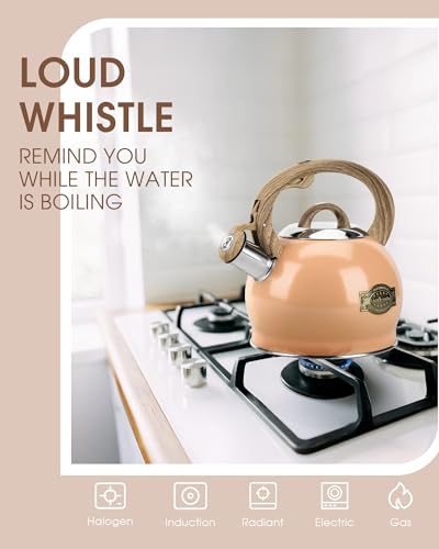 2.1 Qt Whistling Tea Kettle for Stovetop with Heat (Peachy)