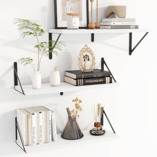 Floating Book Shelves for Wall