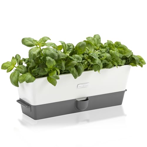 Burwell Self Watering Potted Herb Keeper (Triple Fresh Herb Keeper)