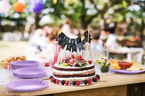Sturdy Lavender Plastic Plates 9" Party Plates 100 Pcs (9 inch / Lavender)