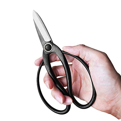 Professional 7.3" Bonsai Scissors