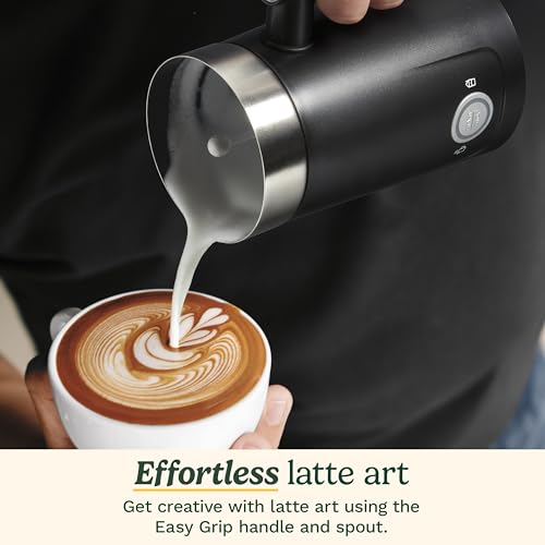 Hot and Cold Foam Milk Frother