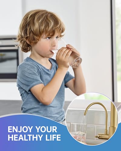 3 Way Kitchen Faucets with Sprayer and Water Filter Brushed Gold (Brushed Gold)