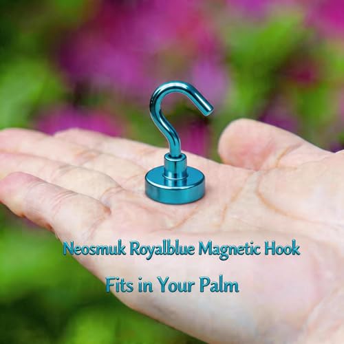 Magnetic Hooks (15 Count)