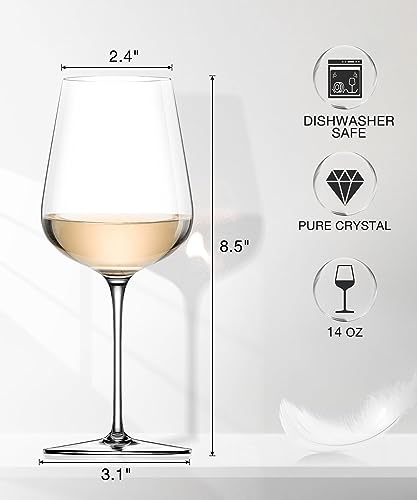 White Wine Glasses Set of 6 (Set of 6-14oz)