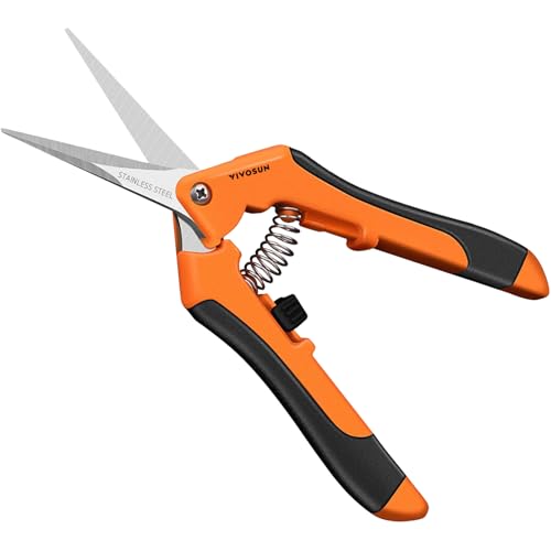 6.5 Inch Garden Scissors (Orange Straight Blade / Orange)
