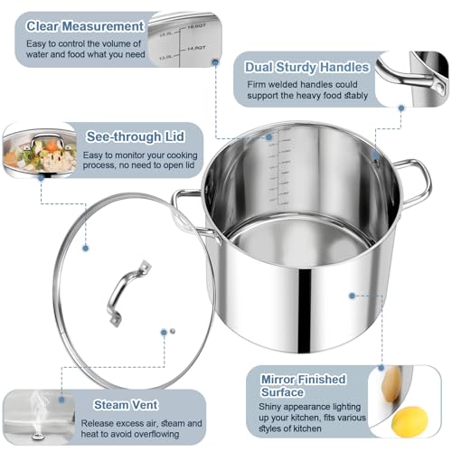 16 QT Stainless Steel Stock Pot with Lid (16 Quarts)