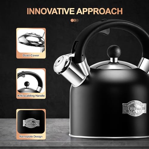 Tea Kettle 3.17QT Stainless Steel Whistling Tea Pot (Black)