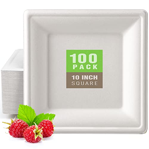 Compostable Square Paper Plates 10 Inch 100 Pack Disposable Plates (White / 10-inch 100 pack)