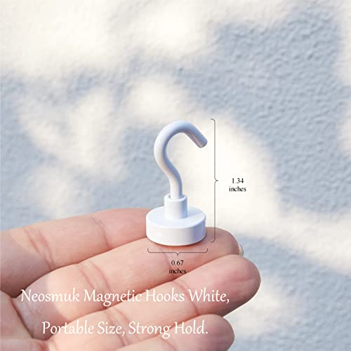 Magnetic Hooks (12 Count)