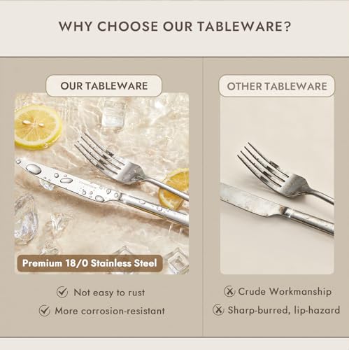 48 Piece Silverware Set with Steak Knives (48-Piece / Silver)