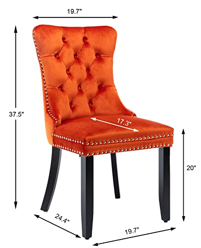 Orange Velvet Dining Chairs Set of 6 (Orange)