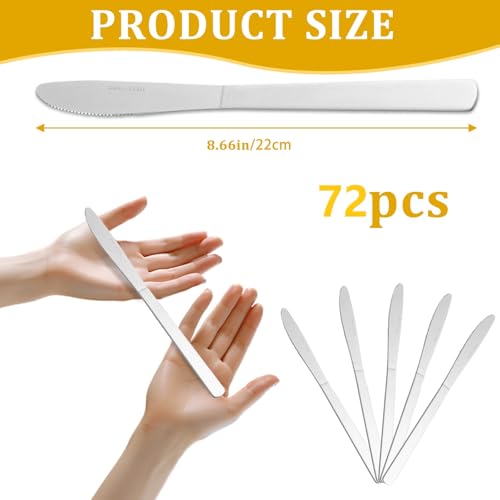 72 PCS Dinner Knifes Set (72PCS Dinner Kinfe)