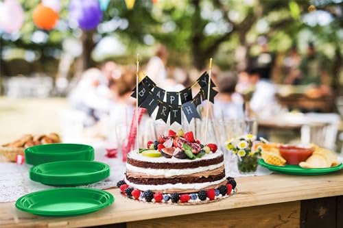 Sturdy Emerald Green Plastic Plates 10" Party Plates 100 Pcs (10 inch / Emerald Green)