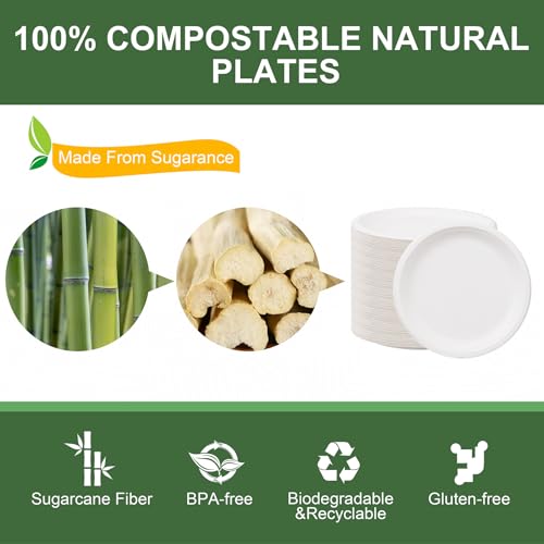 10 Inch Paper Plates 125 (White / 10Inch（125 PCS）)