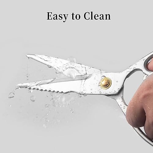 Heavy Duty Stainless Steel Kitchen Shears